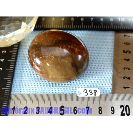Bois fossilisé savonnette polie 103g Madagascar