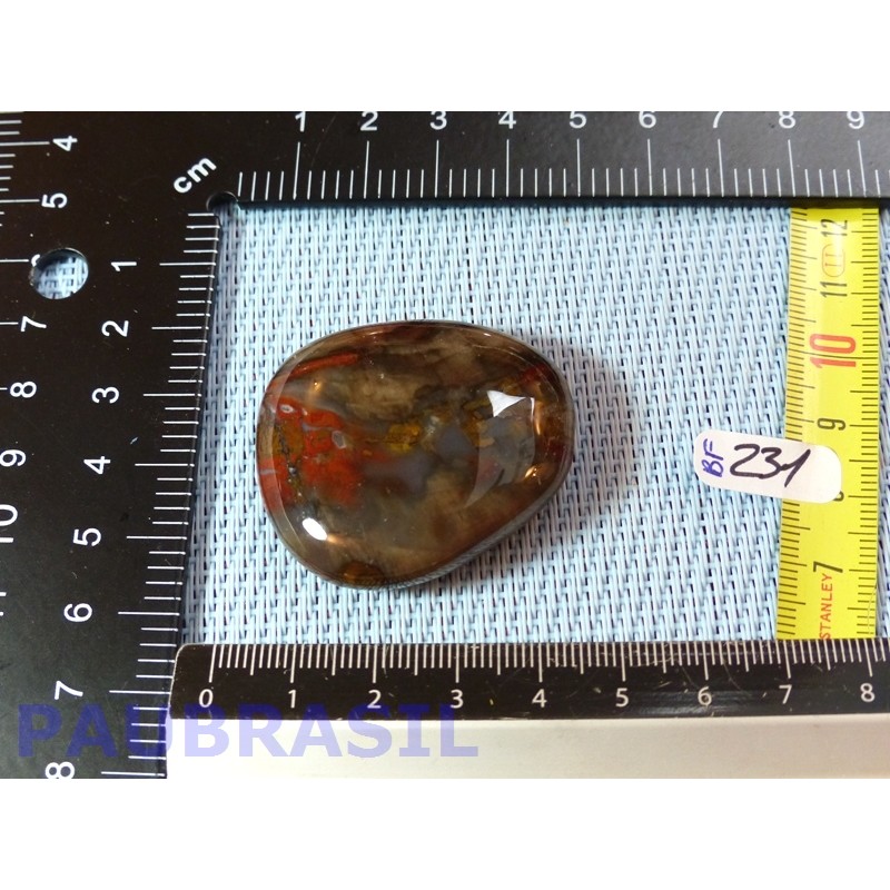 Bois Fossilisé pierre plate 28g qualité Extra Madagascar