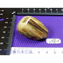 Bois fossilisé en pierre roulée de 34g Q Extra Madagascar