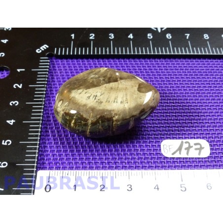 Bois fossilisé en pierre roulée de 33g Q Extra Madagascar