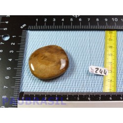 Bois Fossilisé pierre plate 23g qualité Extra Madagascar