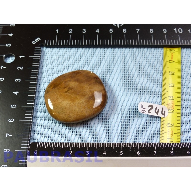 Bois Fossilisé pierre plate 23g qualité Extra Madagascar