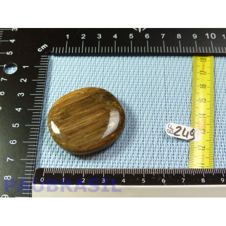 Bois Fossilisé pierre plate 26g qualité Extra Madagascar