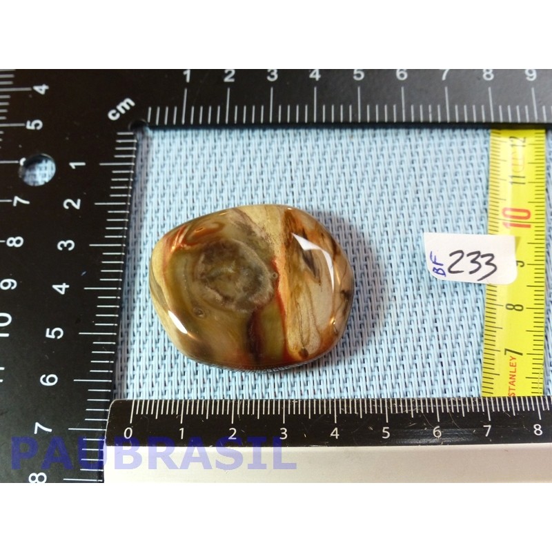 Bois Fossilisé pierre plate 26g qualité Extra Madagascar