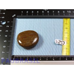 Bois Fossilisé pierre plate 18g qualité Extra Madagascar