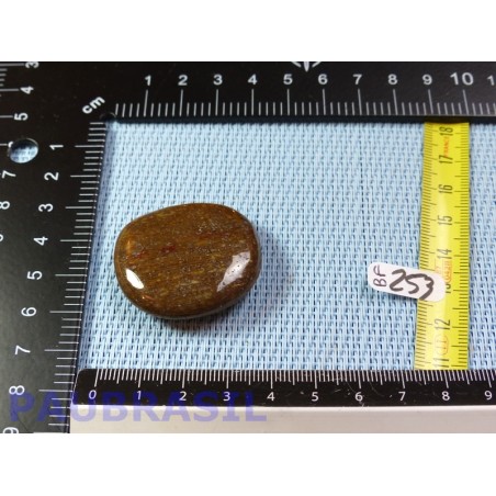 Bois Fossilisé pierre plate 18g qualité Extra Madagascar