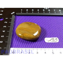 Bois Fossilisé pierre plate 22g qualité Extra Madagascar