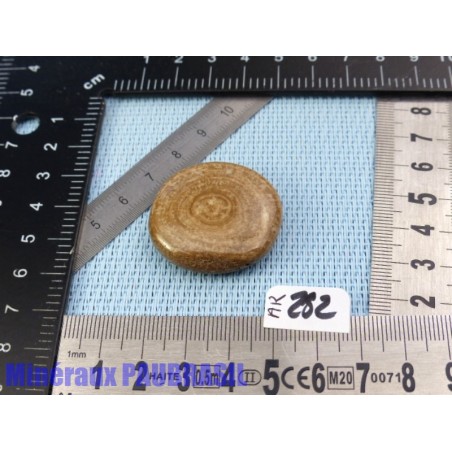Aragonite en Galet Plat 16g