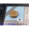 Aragonite en Galet Plat 16g