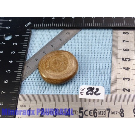 Aragonite en Galet Plat 16g