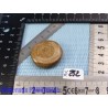 Aragonite en Galet Plat 16g