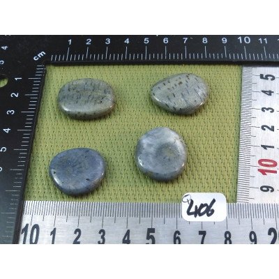 Corail Bleu Lot de 4 Pierres Plates Mini 23gr50 | Minéraux Paubrasil