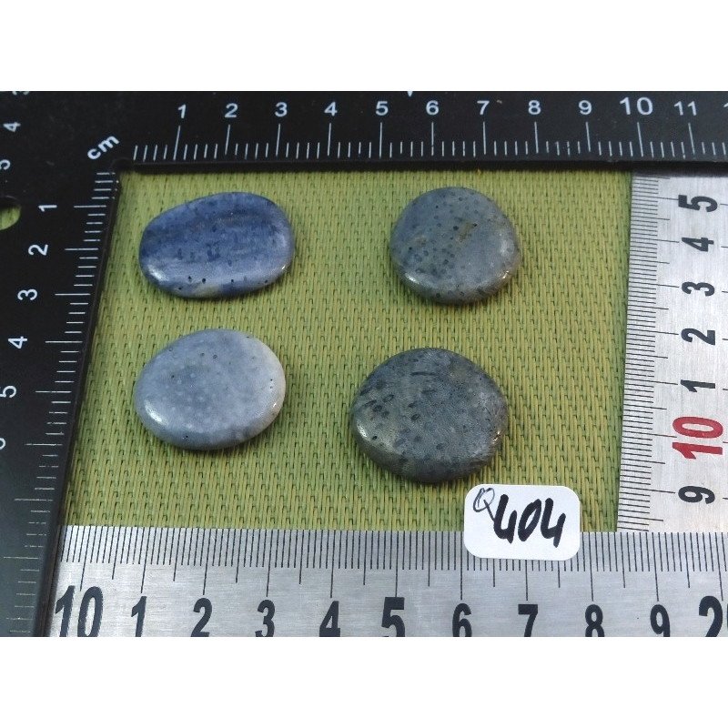 Corail Bleu Lot de 4 Pierres Plates Mini 21gr50 | Minéraux Paubrasil