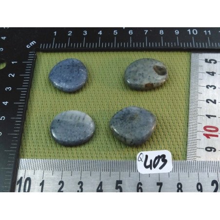 Corail Bleu Lot de 4 Pierres Plates Mini 20gr50 | Minéraux Paubrasil