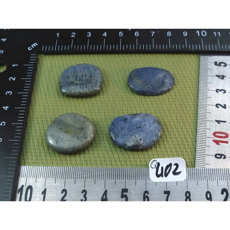 Corail Bleu lot de 4 Pierres Plates Mini 18g | Minéraux Paubrasil