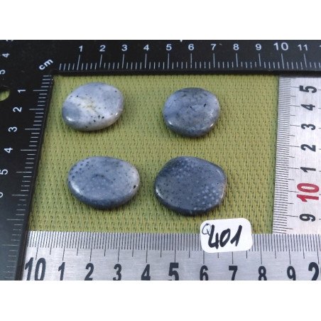 Corail Bleu lot de 4 Pierres Plates Mini 22g | Minéraux Paubrasil