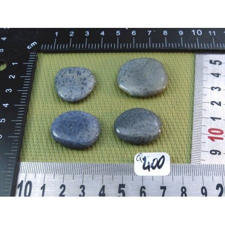 Corail Bleu lot de 4 Pierres Plates Mini 25g | Minéraux Paubrasil