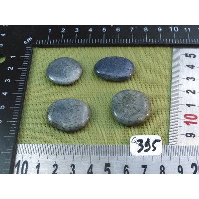 Corail Bleu Lot de 4 Pierres Plates Mini 19gr50 | Minéraux Paubrasil