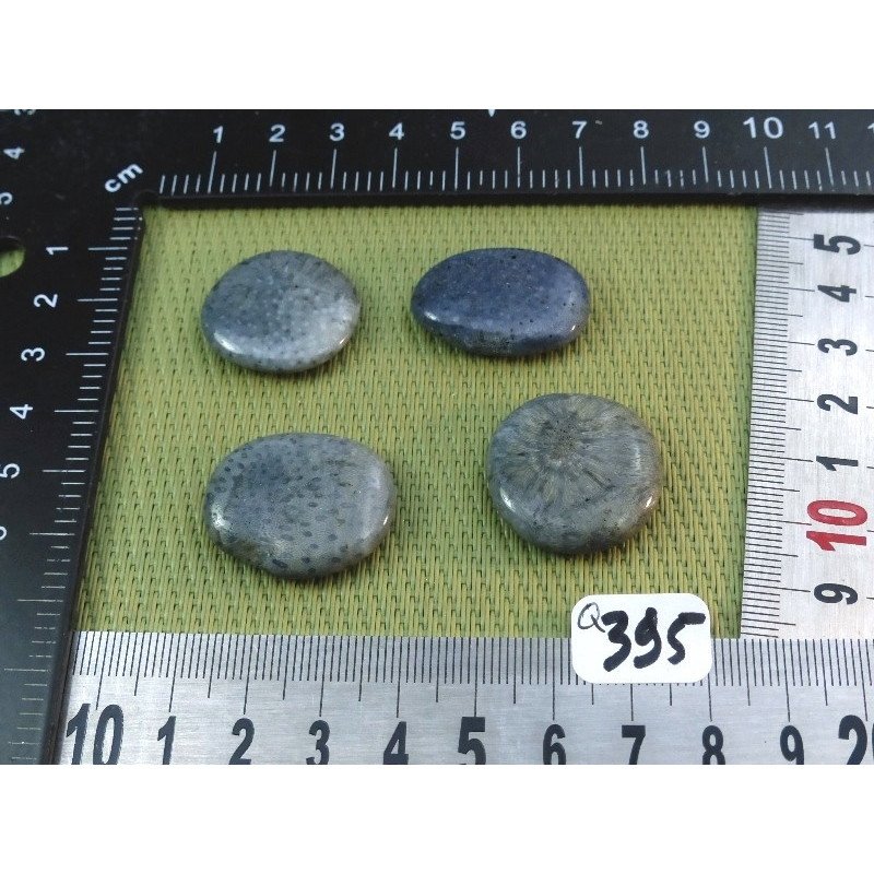 Corail Bleu Lot de 4 Pierres Plates Mini 19gr50 | Minéraux Paubrasil