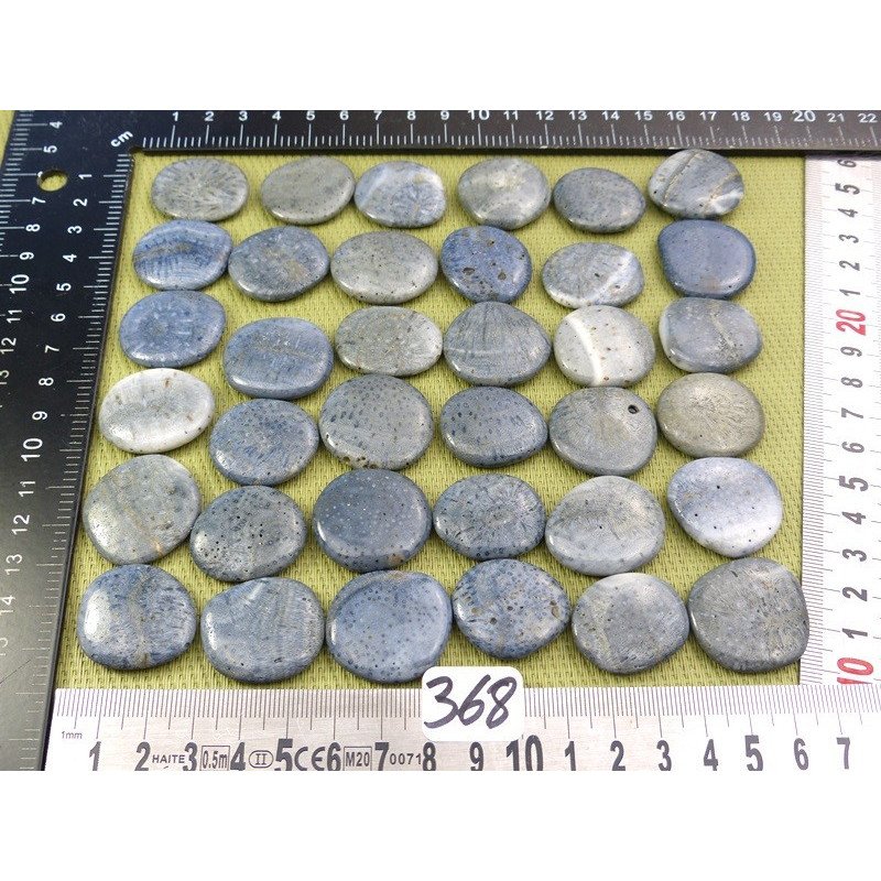 Corail Bleu Pierre Plate Mini à l unité de 27 à 28 mm | Minéraux Paubrasil