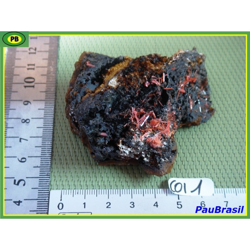 Crocoïte sur Goethite de 120g de Tasmanie