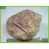  Rubellite, tourmaline rose de 600g du Brésil