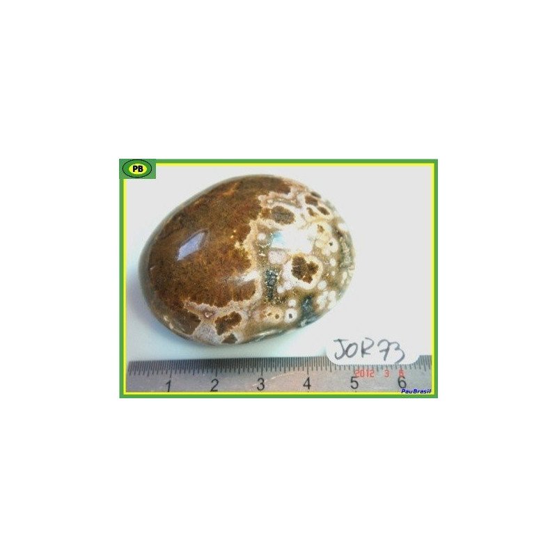 Jaspe Orbiculaire Poli de Madagascar 83g
