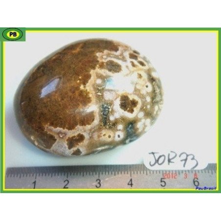Jaspe Orbiculaire Poli de Madagascar 83g