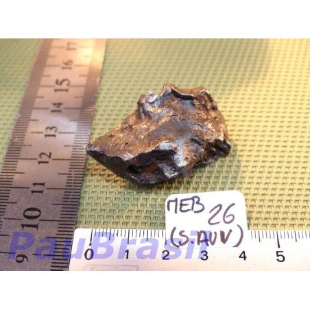 Météorite Sikhote Alin de 51 gr Q Extra