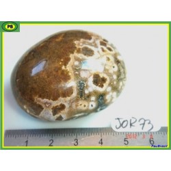  Jaspe Orbiculaire Poli de Madagascar 83g