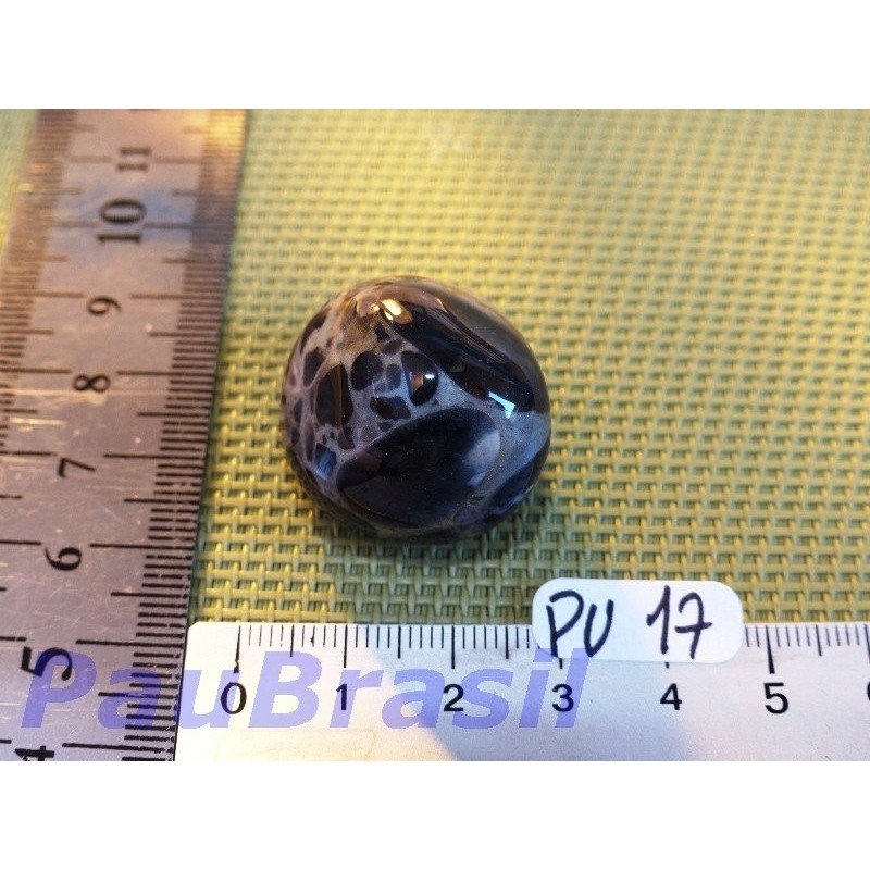 Conglomérat Pudding stone pierre roulée 20g