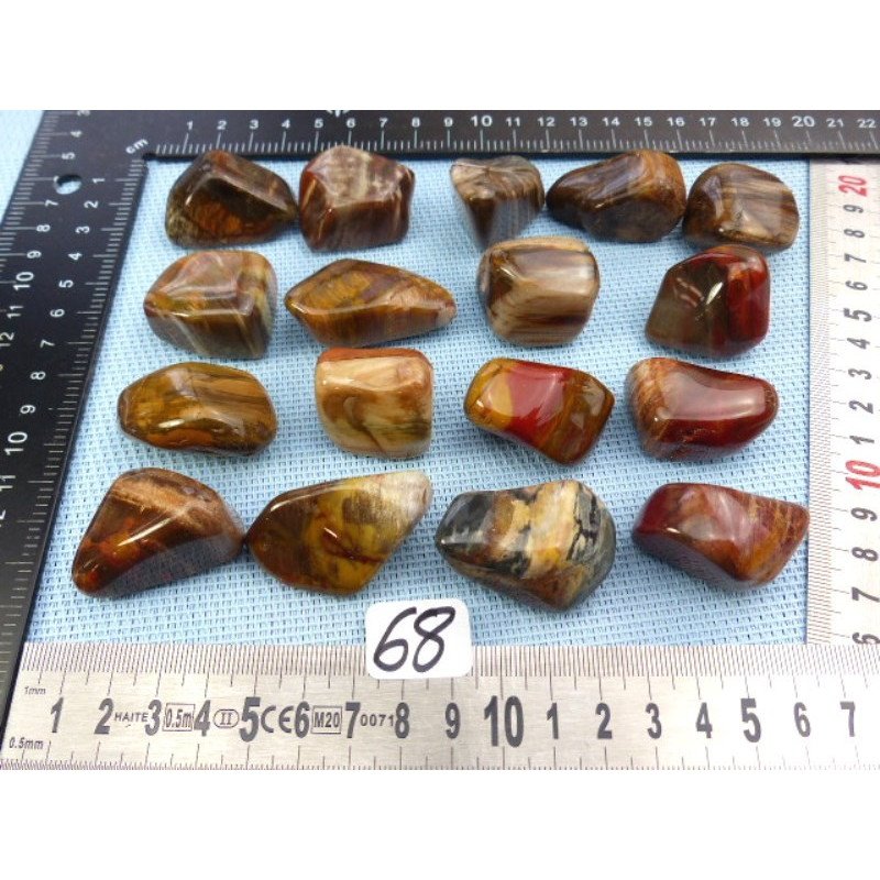 Bois Fossile Pierre Roulée à l unité de 25 à 29 gr | Minéraux Paubrasil