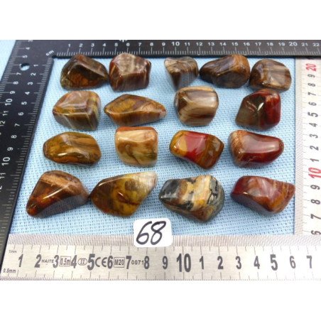 Bois Fossile Pierre Roulée à l unité de 25 à 29 gr | Minéraux Paubrasil