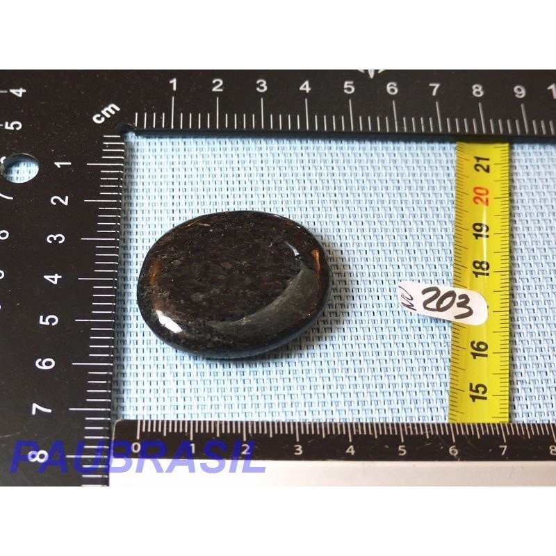 Nuummite en pierre plate de 24gr