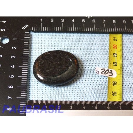 Nuummite en pierre plate de 24gr