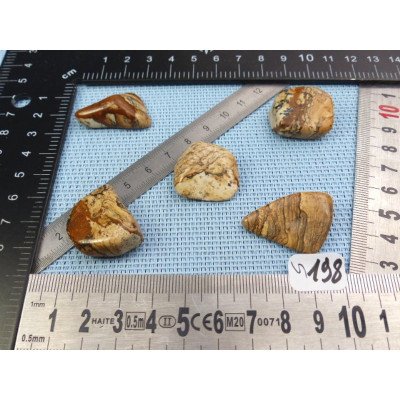 Jaspe Paysage Lot de 5 Pierres Roulées 37g | Minéraux Paubrasil