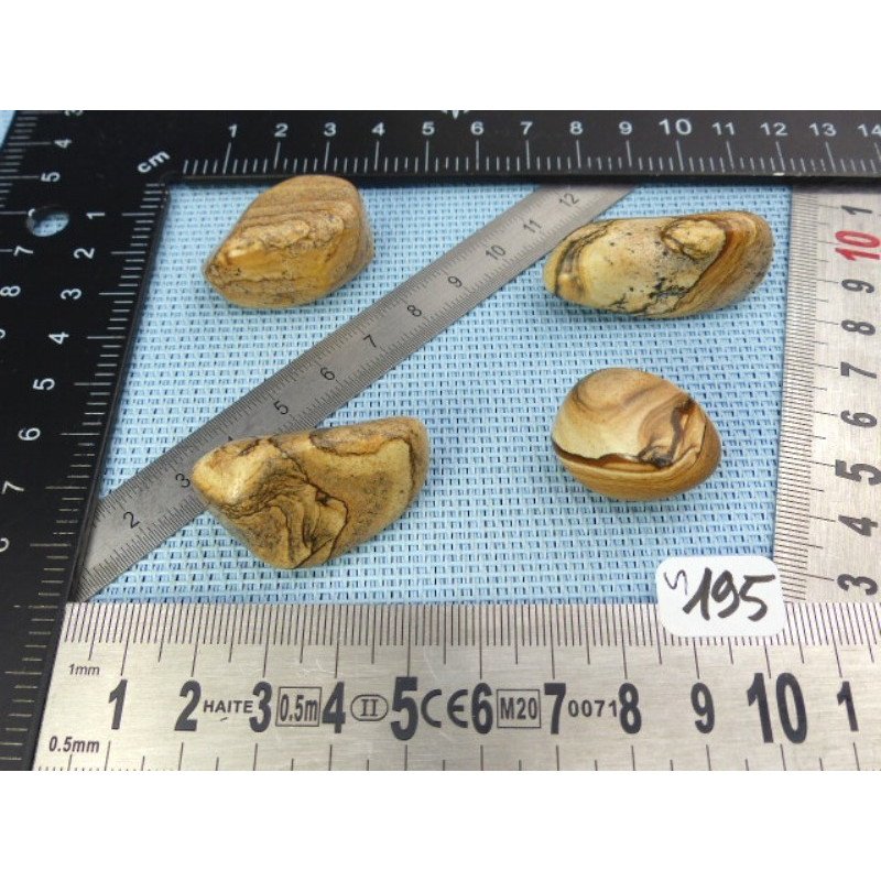 Jaspe Paysage Lot de 4 Pierres Roulées 64g | Minéraux Paubrasil