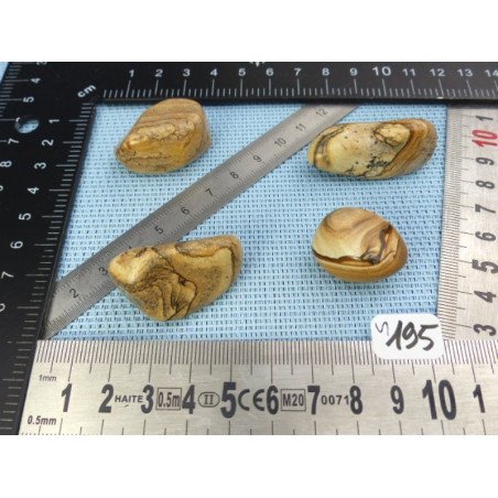 Jaspe Paysage Lot de 4 Pierres Roulées 64g | Minéraux Paubrasil