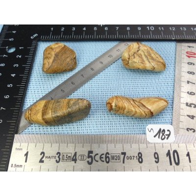 Jaspe Paysage Lot de 4 Pierres Roulées 57g | Minéraux Paubrasil