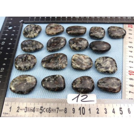 Astrophyllite véritable et rare Galet Plat à l unité de 14 à | Minéraux Paubrasil