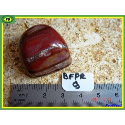 Bois fossilisé en pierre roulée de 31g