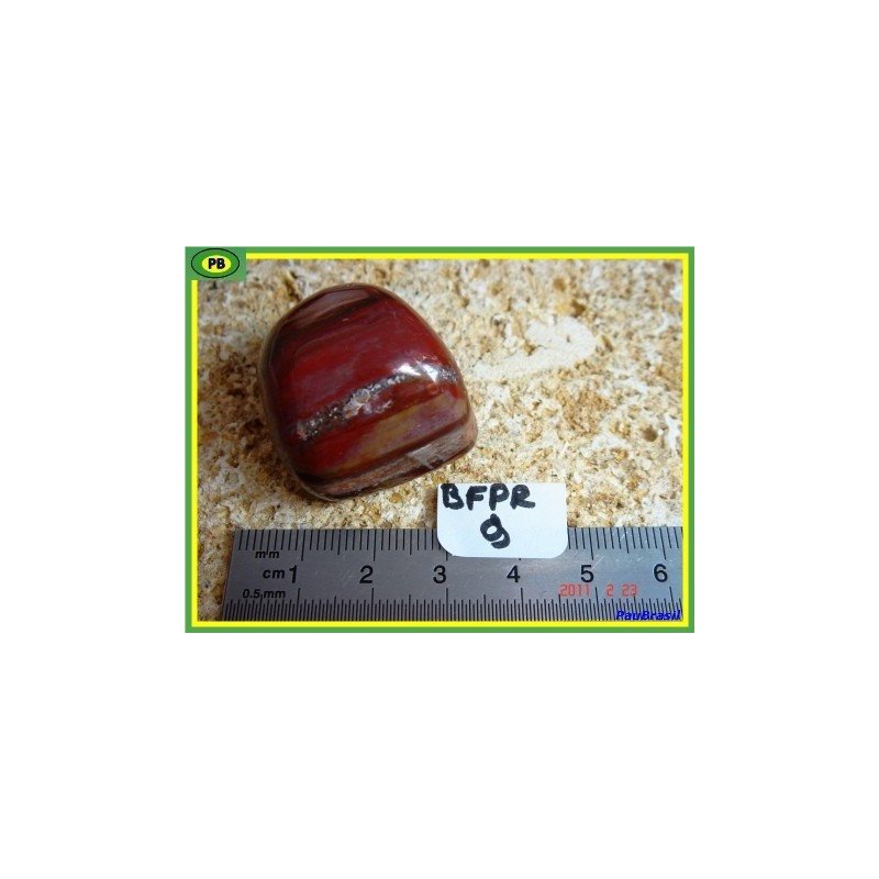 Bois fossilisé en pierre roulée de 31g