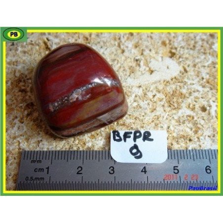 Bois fossilisé en pierre roulée de 31g