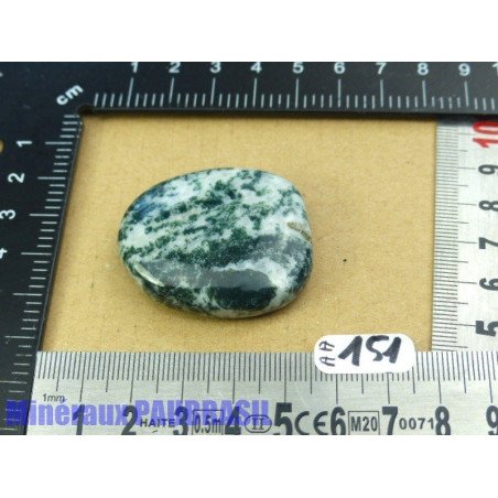 Agate arborisée - agate arbre pierre plate Inde 27g