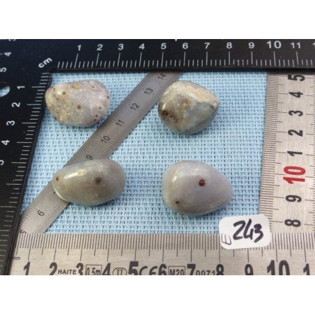 Mangano Calcedoine ou Mangan Chalcedony Lot de 4 Pierres Rou | Minéraux Paubrasil