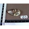 Cabochon Quartz Hematoide Brésil Q Extra 12gr