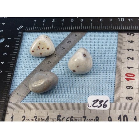 Mangano Calcedoine ou Mangan Chalcedony Lot de 3 Pierres Rou | Minéraux Paubrasil