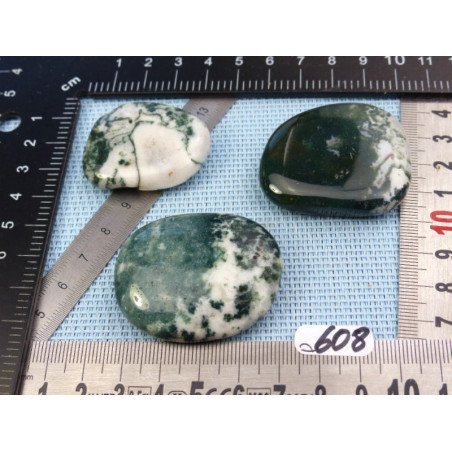 Agate Arborisée Lot de 3 Pierres Plates 80g | Minéraux Paubrasil
