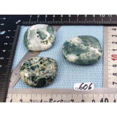 Agate Arborisée Lot de 3 Pierres Plates 76g | Minéraux Paubrasil