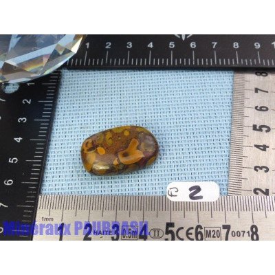 Fruit Jasper - Azubalite - Ajooba Jasper en Pierre Roulee Q Extra Extr